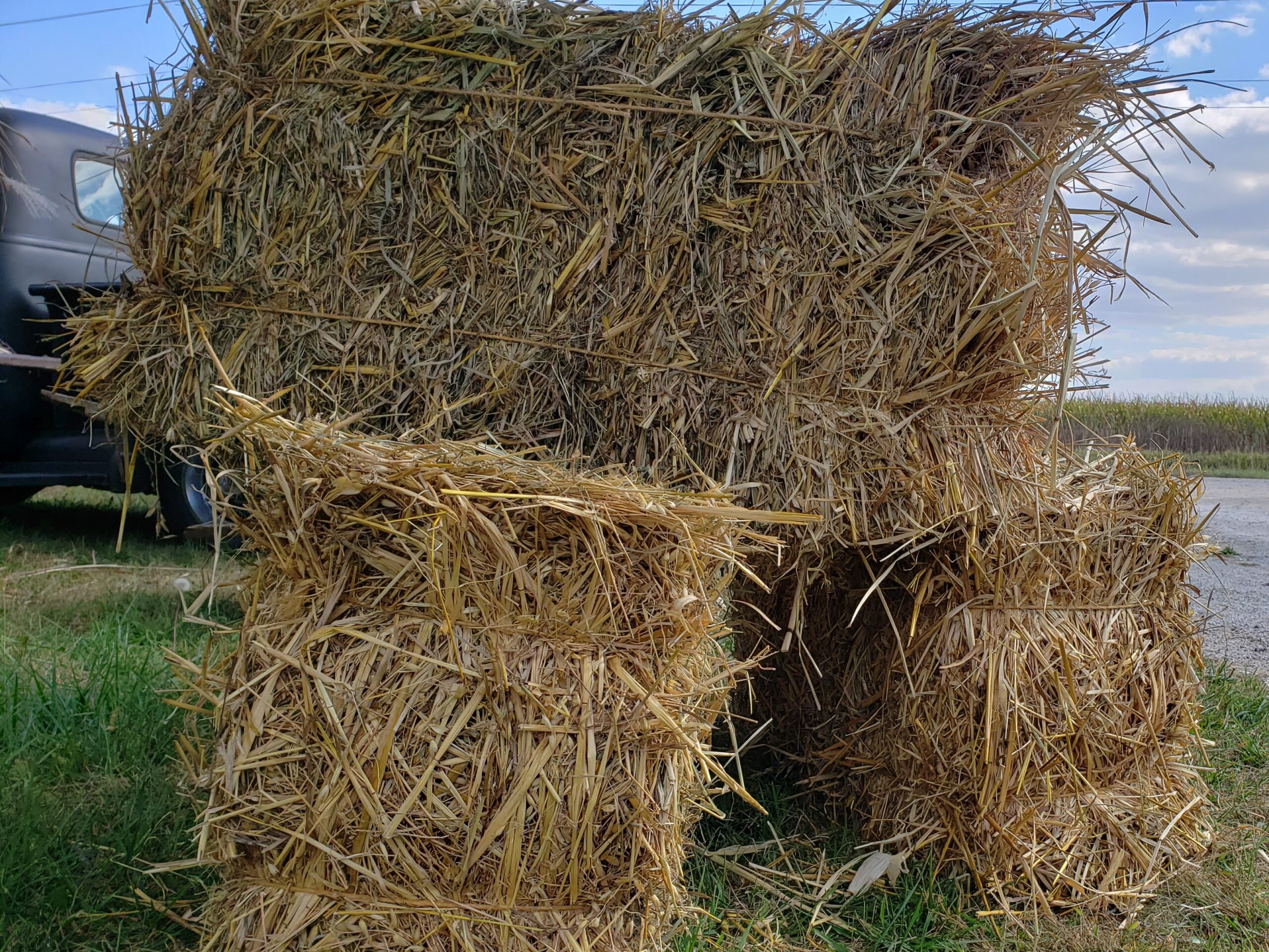 Straw Bales